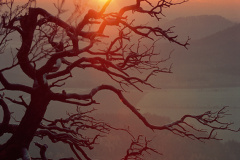 SSS61_4DR