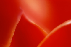 40NN22_4DR
