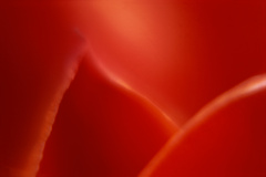 NN22_4DR