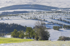 DSF0129-Verbessert-NR