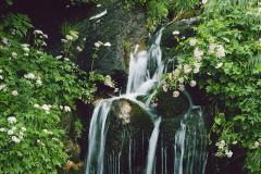 LW001DR