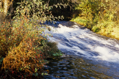 LW075DR