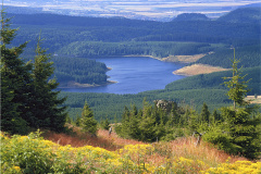 Harz