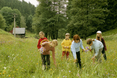 06-Wiese-mit-KindernDR2
