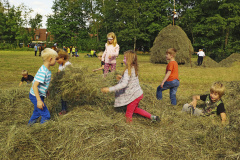10-2019SAM_1217DR
