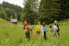 Wiese-mit-KindernDR