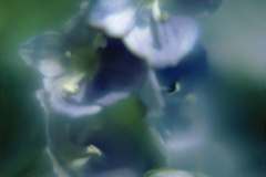 NN31_4DR