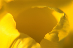 NN48A_4DR