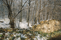 DS070_4DR