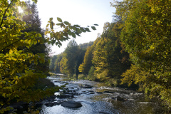 Muldental