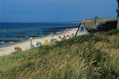RG553_DR