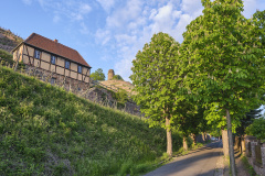 DSCF9524DR