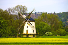 MMFC1318DR-Gohliser-Windmuehle