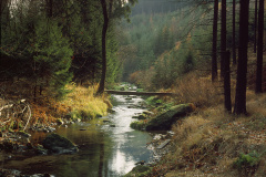 LW093DR