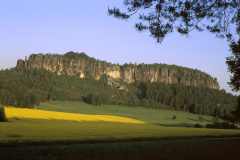 SSS346_4DR