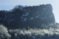 SSW003_4DR