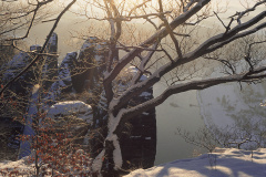 SSW017_4DR