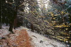SSW048_4DR
