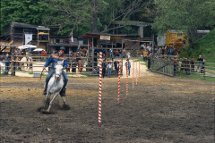 SE069