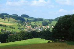 SE084
