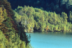 ERS33_4DR