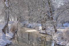 1_01-2023-DSCF9670DR