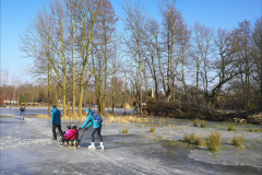 1_02-2019DSF4565DRtif