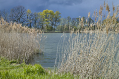 1_03-2022-MMFC9876DR