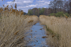 1_03-2024-DSCF9105-2