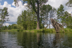 1_07-2022-DSCF5583DR