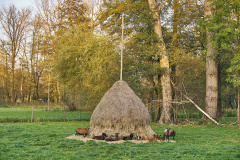 1_11-2022-DSCF6140DR