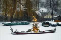 1_12-2020-MMFC9960DR