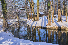 1_12-2023-DSCF9761DR