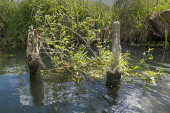 1_DSCF5641DR