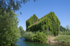 1_DSCF9045-Verbessert-NR