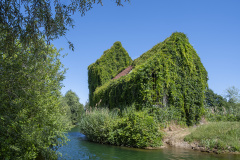 1_DSCF9045-Verbessert-NR2hoeher