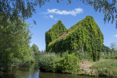 1_DSCF9045-Verbessert-NR3hoeher