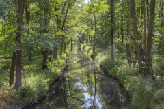 1_DSCF90790