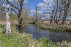 1_DSCF9109-Verbessert-NR