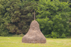 1_DSCF9126