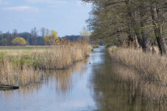 1_DSCF9149-Verbessert-NR