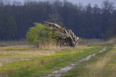 1_DSCF9171-2