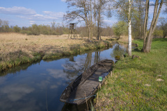 1_DSCF9295-Verbessert-NR