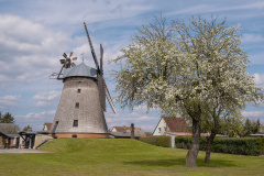 1_DSCF9359