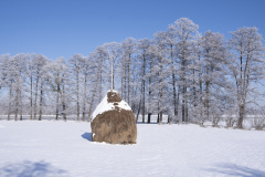 1_DSCF9663-Verbessert-NR