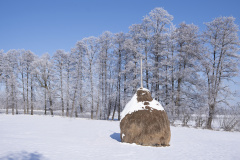 1_DSCF9663-Verbessert-NR2