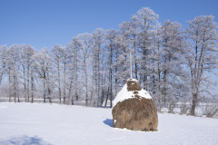 1_DSCF9663-Verbessert-NR2eine-Ebene