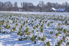 1_DSCF9692-Verbessert-NR