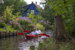 1_DSF0512-Verbessert-NR