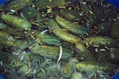 1_SP002_4DR